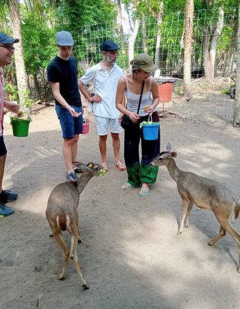 Tour Ventanilla Mazunte (Cocodrilos)