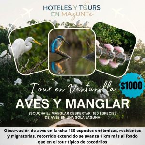 Tour de Aves en Ventanilla: Manglar y Observación de Especies