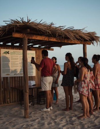Liberación de Tortugas en Playa Ventanilla