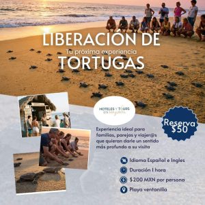 Liberación de Tortugas en Playa Ventanilla (Atardecer)